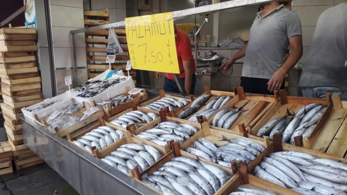 Ak&ccedil;akoca&rsquo;da Palamut 7,5 TL