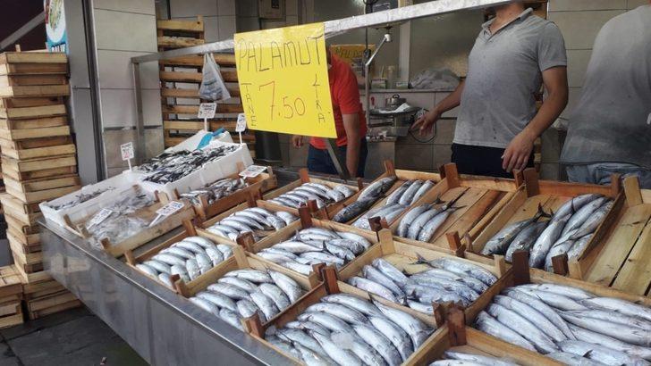 Akçakoca’da Palamut 7,5 TL G1