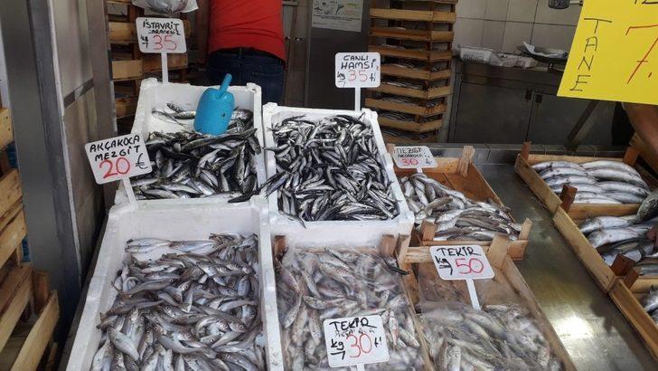 Akçakoca’da Palamut 7,5 TL G2