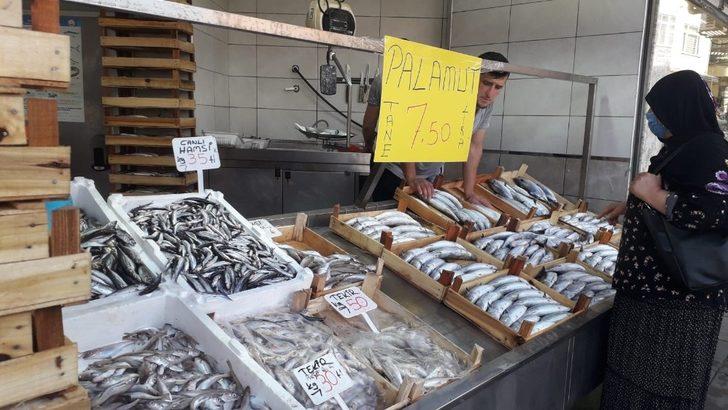 Akçakoca’da Palamut 7,5 TL G3