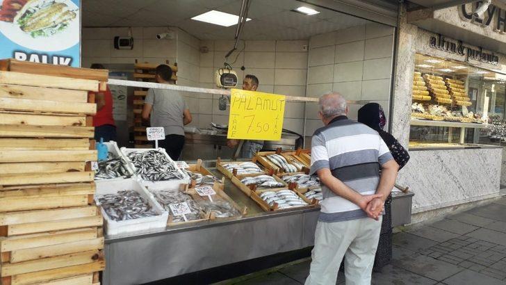 Akçakoca’da Palamut 7,5 TL G4