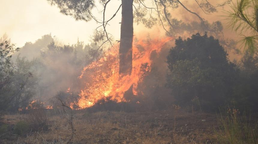 Adrasan'da 60 hektarlık ormanlık alan yangında zarar g&ouml;rd&uuml;