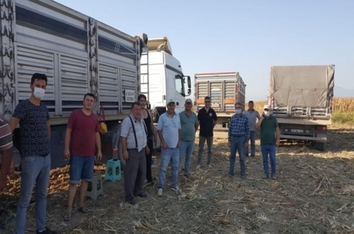 AD&Uuml; Ziraat Fak&uuml;ltesi&rsquo;nde hasat zamanı