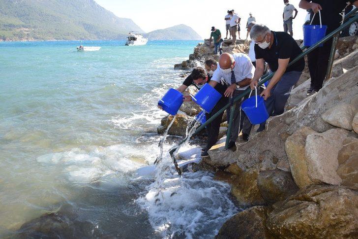 Kumluca’da 5 bin levrek yavrusu denizle buluştu G1