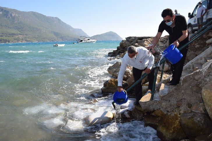 Kumluca’da 5 bin levrek yavrusu denizle buluştu G3