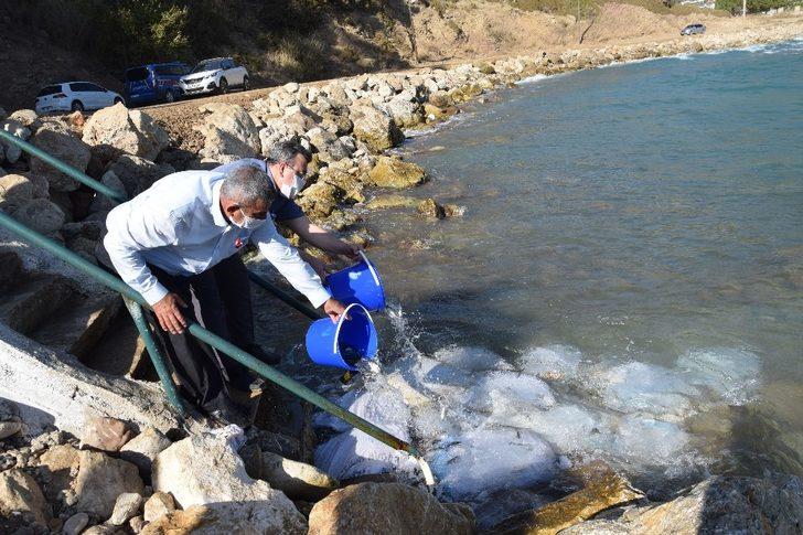 Kumluca’da 5 bin levrek yavrusu denizle buluştu G4