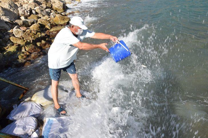 Kumluca’da 5 bin levrek yavrusu denizle buluştu G5