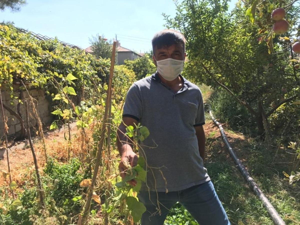 Sarımsaklı&rsquo;da sular kesildi, tarladaki mahsuller kurudu