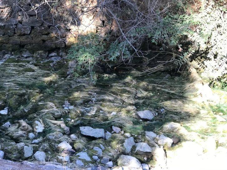 Sarımsaklı’da sular kesildi, tarladaki mahsuller kurudu G4