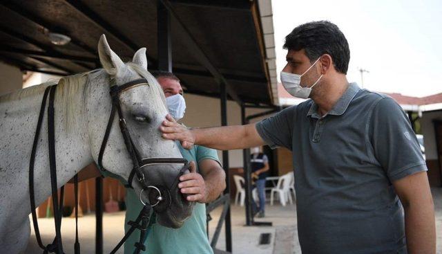 Başkan Kocaman’dan atla terapiye davet