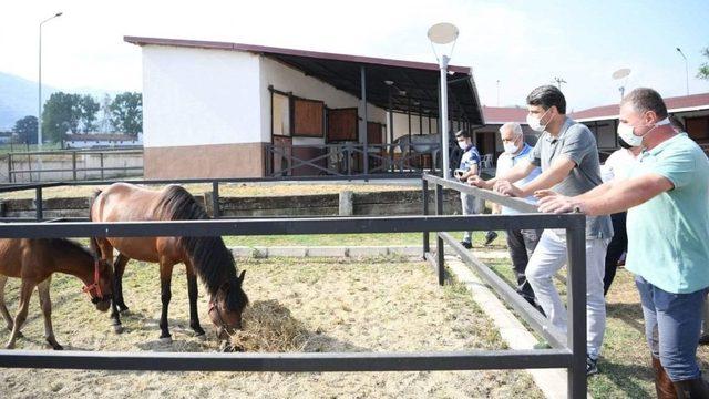 Başkan Kocaman’dan atla terapiye davet