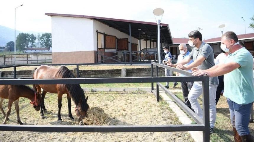 Başkan Kocaman’dan atla terapiye davet