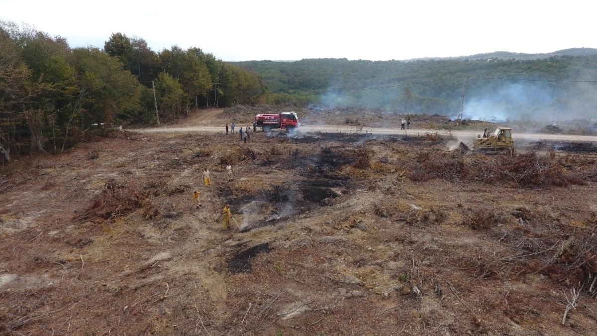 Sinop&rsquo;ta yangına "kep&ccedil;eli" m&uuml;dahale