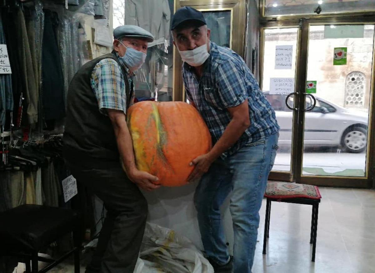 Bah&ccedil;esinde 40 kiloluk kabak yetiştirdi