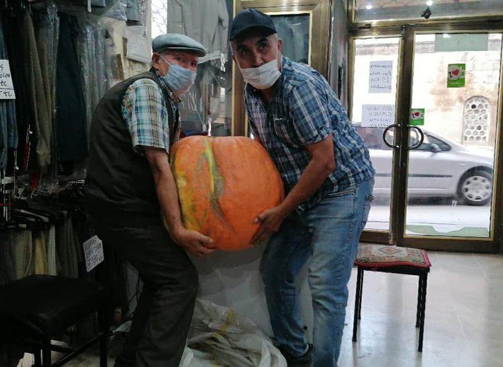 Bahçesinde 40 kiloluk kabak yetiştirdi G1