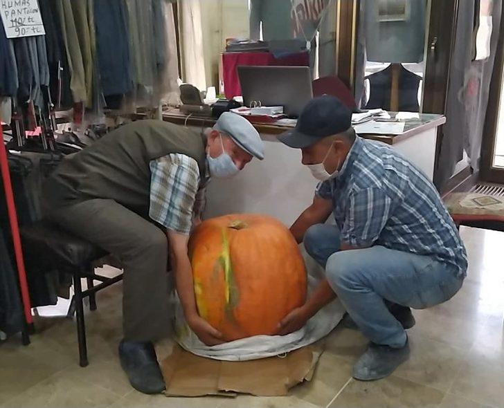 Bahçesinde 40 kiloluk kabak yetiştirdi G2