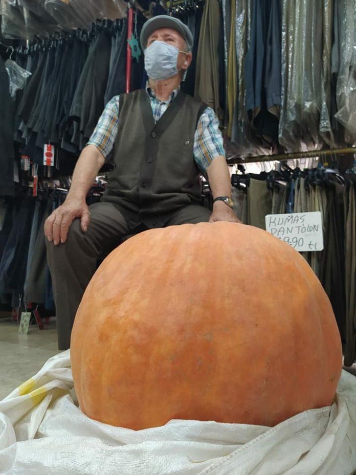 Bahçesinde 40 kiloluk kabak yetiştirdi G3