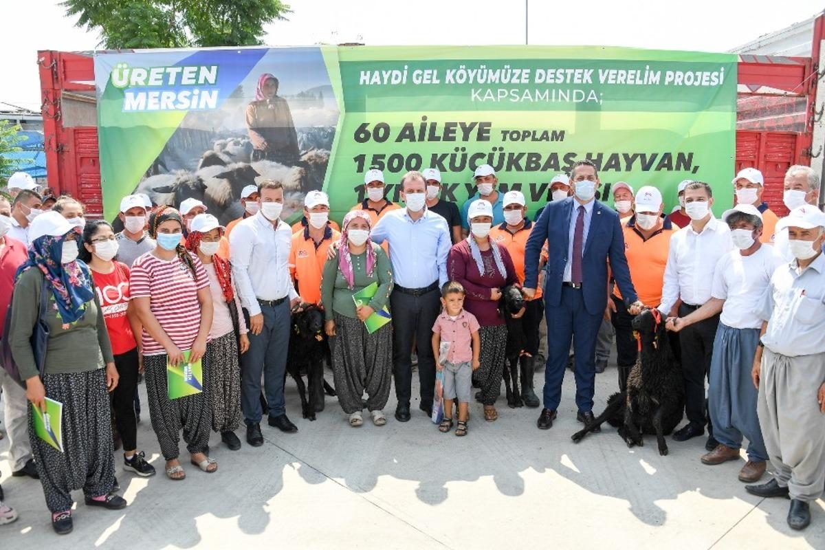 B&uuml;y&uuml;kşehir Belediyesinin projesiyle 60 aileye toplam bin 500 k&uuml;&ccedil;&uuml;kbaş hayvan verilecek