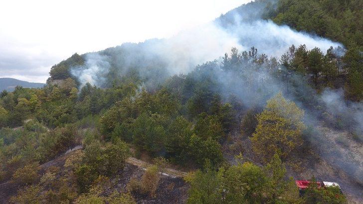 Otları temizlemek isterken ormanı yaktı G2