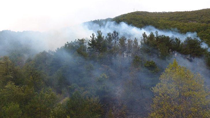 Otları temizlemek isterken ormanı yaktı G3