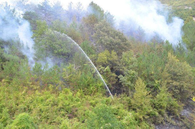 Orman yangınına müdahale ederken baygınlık geçirdi