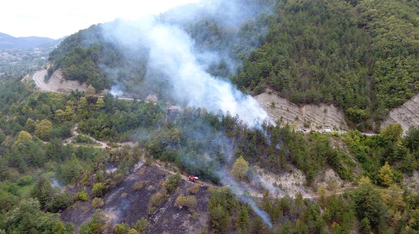 Sinop'ta otları temizlemek isteyen şahıs 20 hektarlık ormanı yaktı