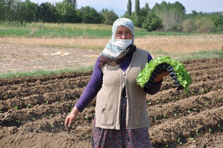 Köylü ‘Yeni Sanayi Sitesi’ne karşı arazilerine sahip çıktı G5