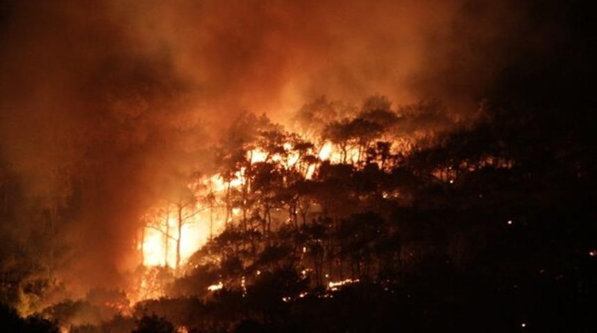 Balıkesir'de orman yangını! (Ayvalık'taki orman yangınında son durum)