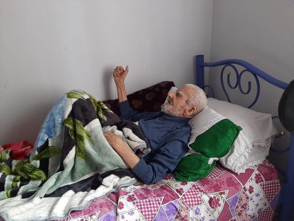 Asırlık dut ağacı zamana meydan okuyor