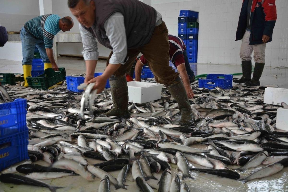 Dalyan kefali Dubai sofralarını s&uuml;sl&uuml;yor