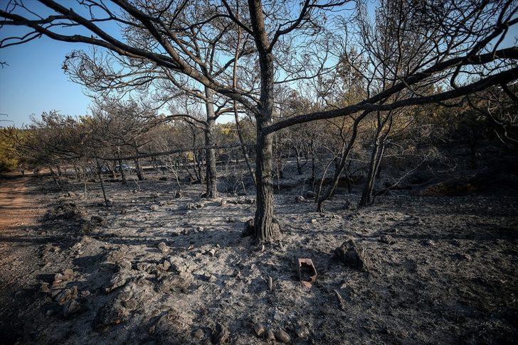 GÜNCELLEME 5 - Balıkesir’deki orman yangını kontrol altına alındı G1