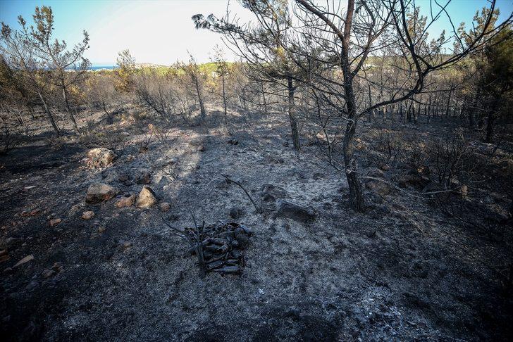 GÜNCELLEME 5 - Balıkesir’deki orman yangını kontrol altına alındı G5