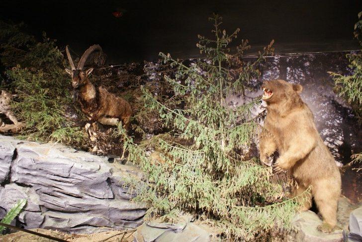 Uzungöl’de bulunan Dursun Ali İnan müzesi sıra dışı yapısıyla turistlerin ilgi odağı oldu G5