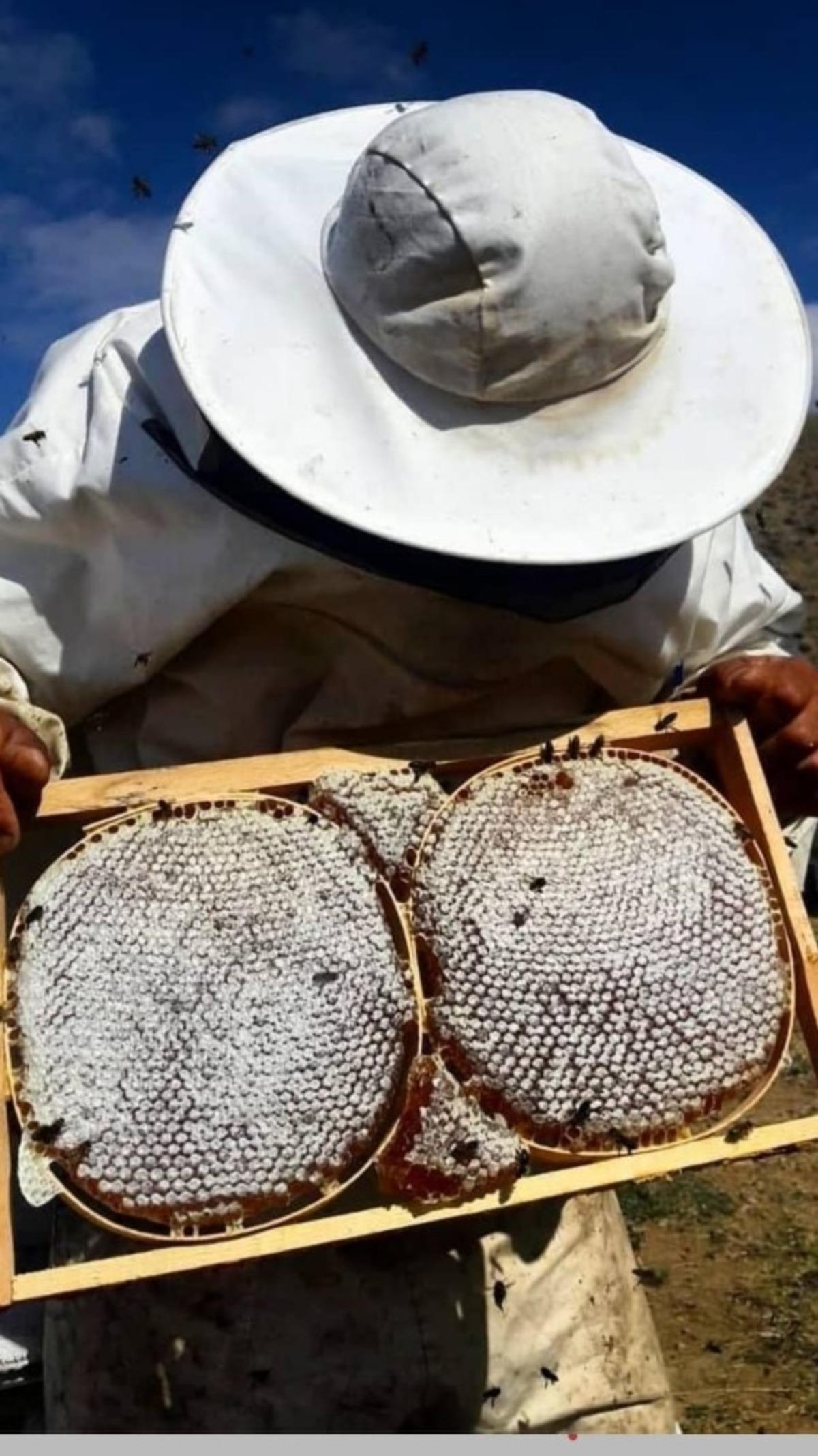 2 bin 973 rakımlı Mereto Dağında bal &uuml;retimi