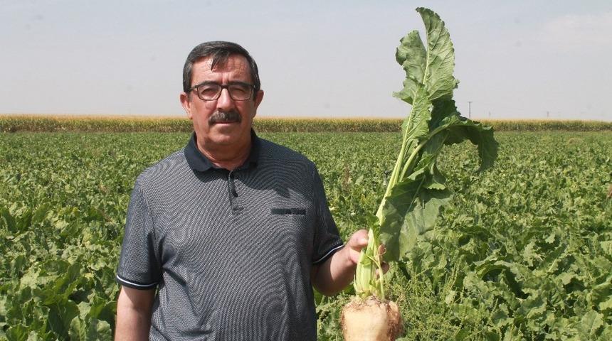 Ahmet Bestil: "Şeker fabrikaları yaşatılmalı"