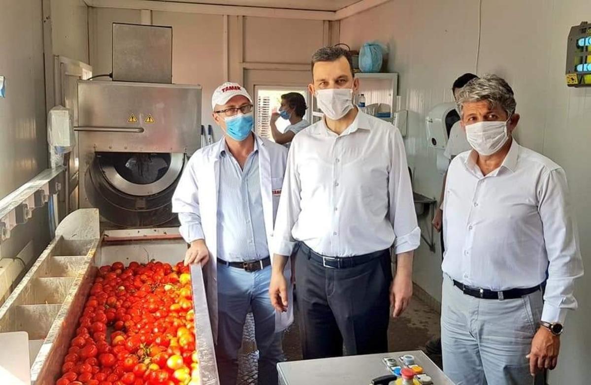 Esgin&rsquo;den domates &uuml;reticisine bir m&uuml;jde daha