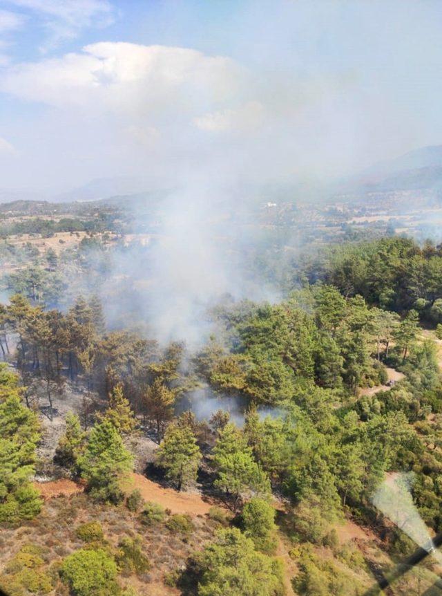 Dalaman’da orman yangını