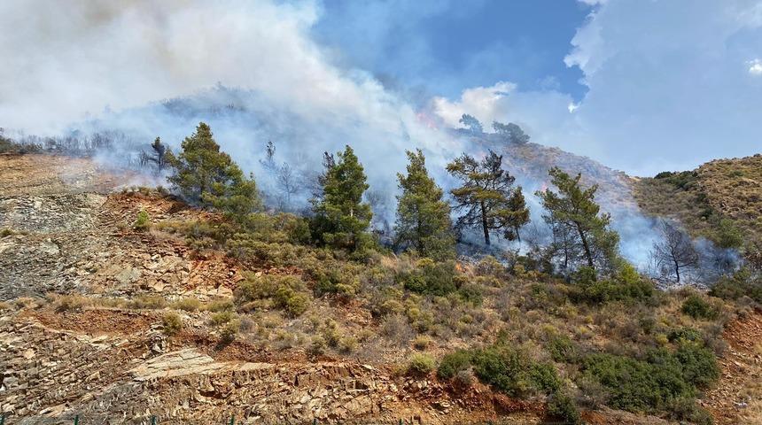 Dalaman'da korkutan orman yangını
