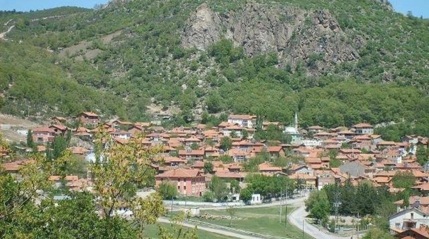 Tavşanlı&rsquo;da iki k&ouml;y karantinaya alındı