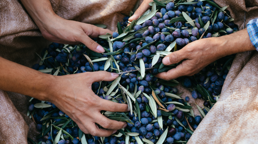 Her 3 saniyede bir Alzheimer teşhisi konuluyor! Korunmak için...