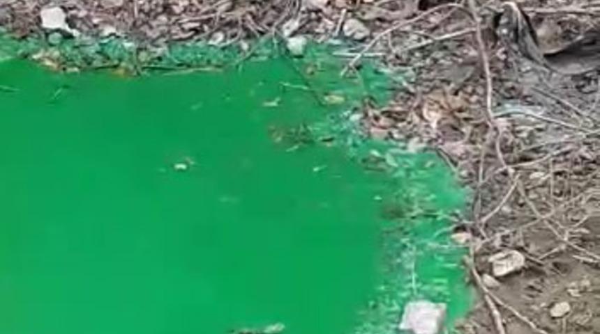 Alibeyk&ouml;y Barajı'nın suyu yeşile d&ouml;nd&uuml;! G&ouml;ren paniğe kapıldı