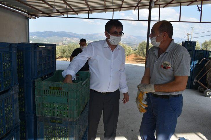 Başkan İnal, zeytin üreticilerini yalnız bırakmadı G2