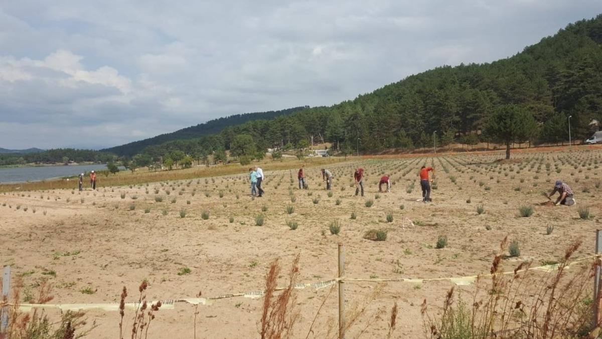 Başkan Bi&ccedil;er: G&ouml;lc&uuml;k cazibe merkezi olacak"