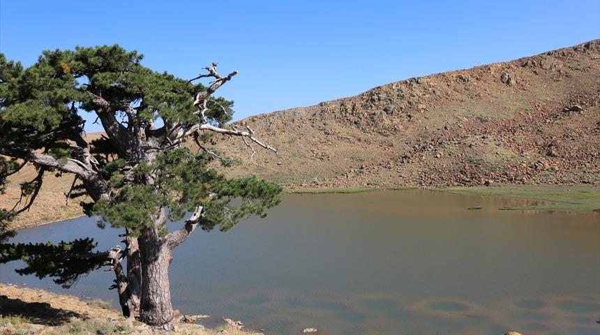 Kartal G&ouml;l&uuml; ve kara&ccedil;am ormanını g&ouml;ren hayran kalıyor