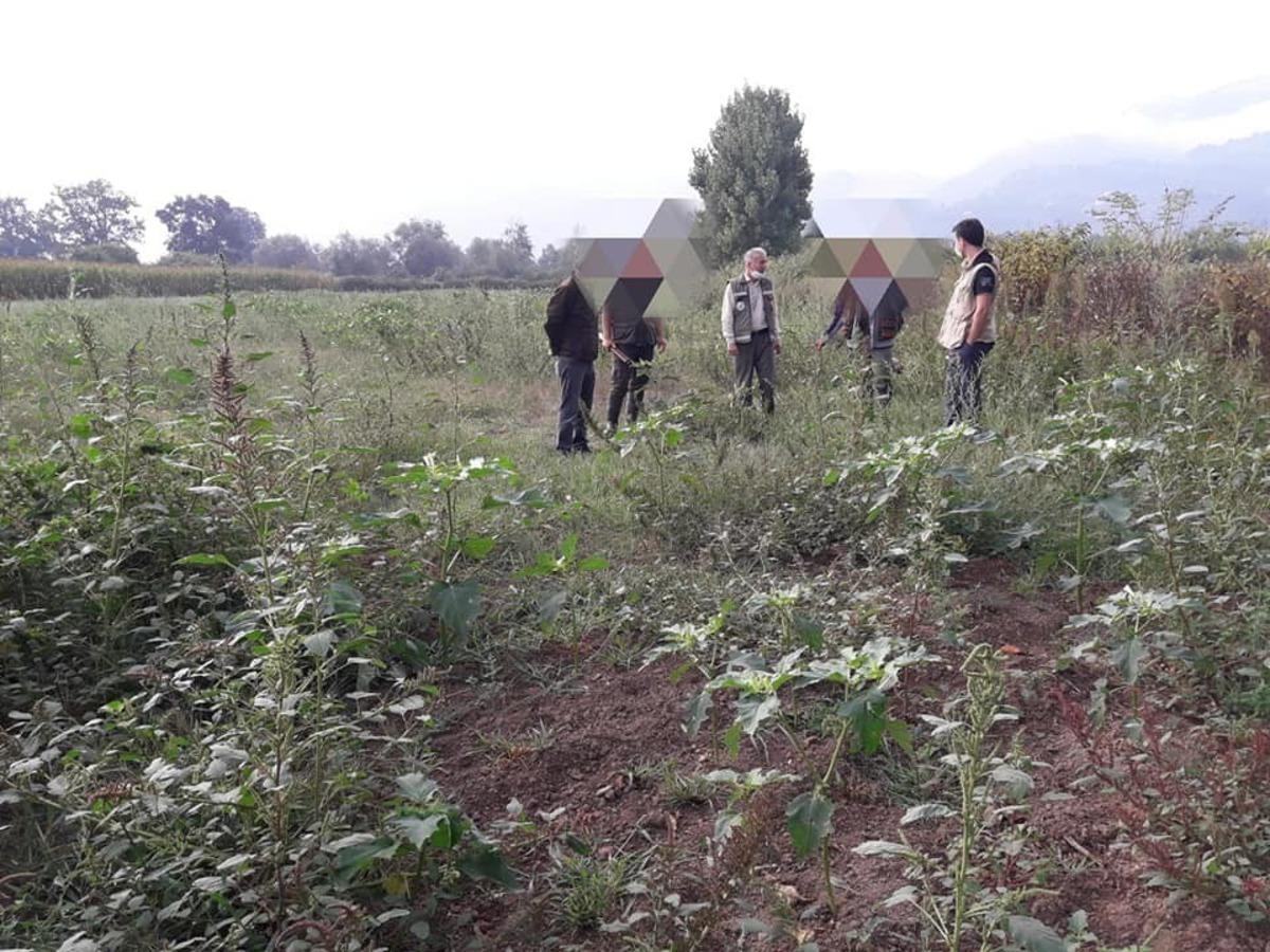D&uuml;zce&rsquo;de ka&ccedil;ak avcılıkla m&uuml;cadele devam ediyor