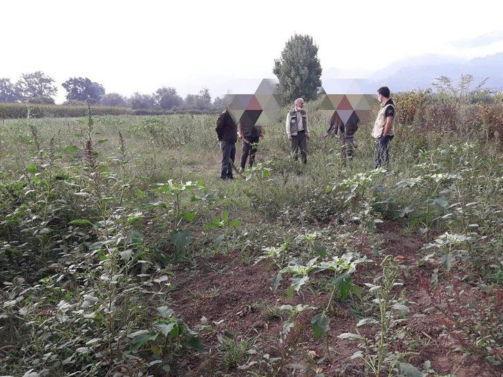 Düzce’de kaçak avcılıkla mücadele devam ediyor G1