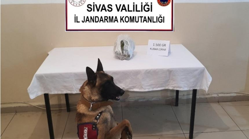 1.5 kilo kubar esrar ele ge&ccedil;irildi