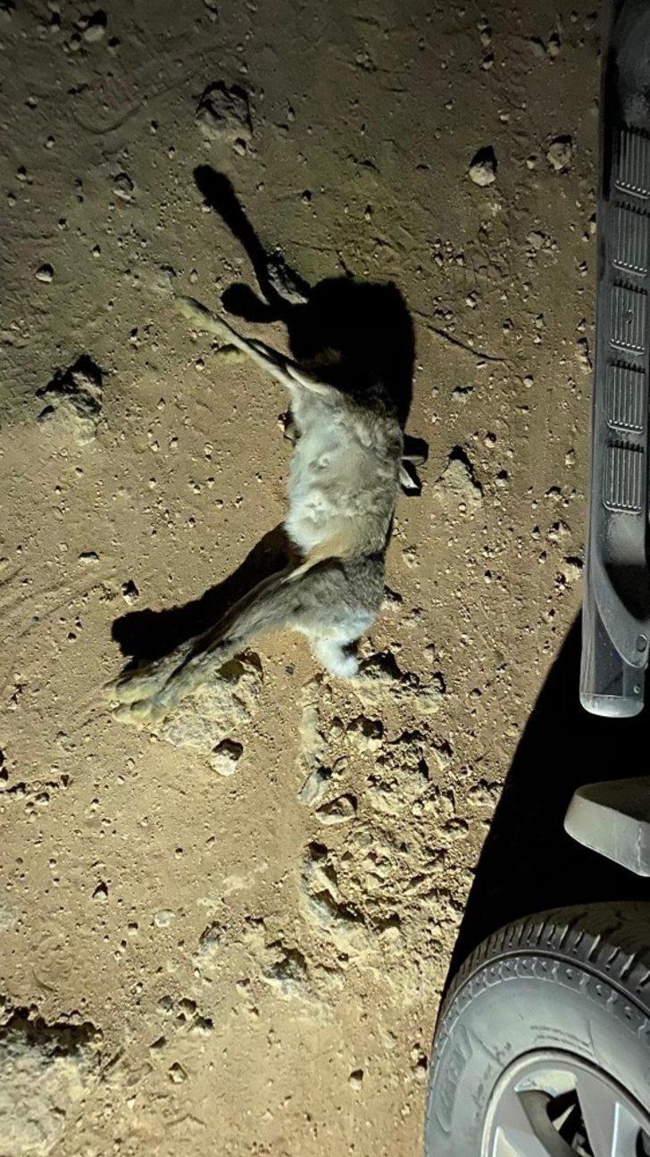 Mut’ta kaçak avcılara göz açtırılmıyor G4