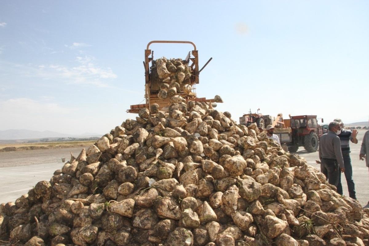 Malazgirt&rsquo;te pancar alım kampanyası t&ouml;renle başladı
