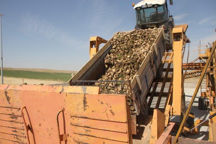 Malazgirt’te pancar alım kampanyası törenle başladı G2